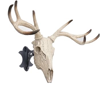 Amazon.co.jp: Skull Hooker ヨーロピアンマウント 調節可能な骨